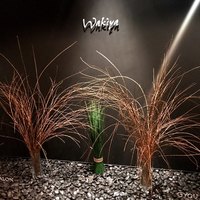 ワキヤ 一笑美茶樓 - 