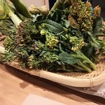 肥後橋 魚で乾杯 うず潮 - 