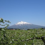 Shirakami Hanten - オマケ・リンゴ畑と岩木山