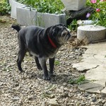 山小屋食堂 - 小次郎おじいちゃん