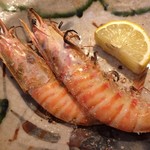 光悦 - その車海老-塩焼き