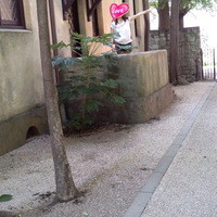 小笠原伯爵邸 - 