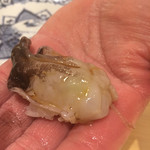 すし岩瀬 - とり貝