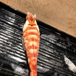 市場鮨 - おまかせ④