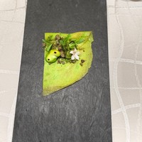 クイントカント - 