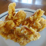 トリコ エノシマ