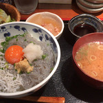 めしの助 - 生しらすと釜揚げしらす丼