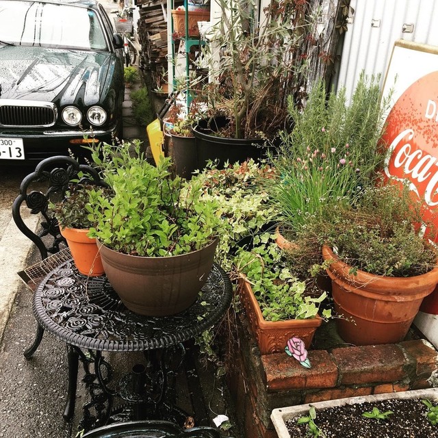 バー タブラ（bar tabula） - 一ノ関（バー）の写真