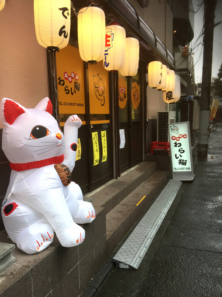 いざかや わらい猫