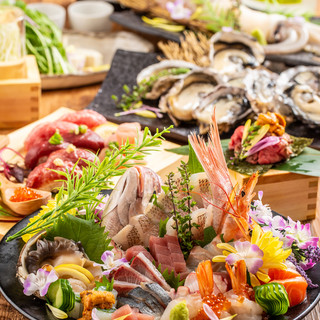 Enjoy horse sashimi and extremely fresh Seafood!