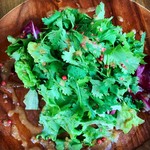 ◆Coriander green salad