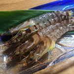 居酒屋 海坊主 - 