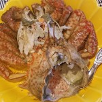 志のや - ◆「毛ガニ」