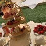 FRUIT PICNIC - 