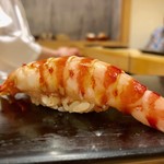 鮨 はしもと - 2019.4.  車海老