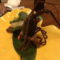 日本料理 梅林 -  日本料理 梅林 -