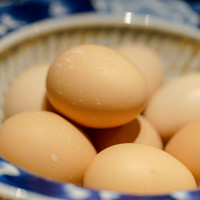 焼鶏 ひらこ - 