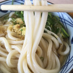 Marugame Seimen - 冷かけ麺アップ