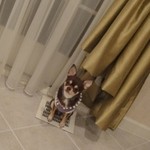 武田そば 風林茶家 - 