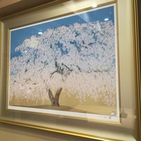 恵比寿 鰻 松川 - 