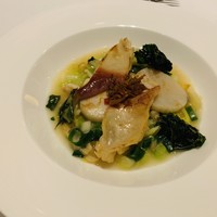 カントニーズ 燕 - 