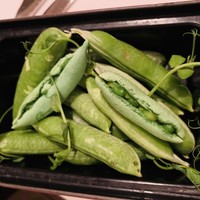 レザンファン ギャテ - 