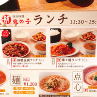 四川料理 龍の子 - 
