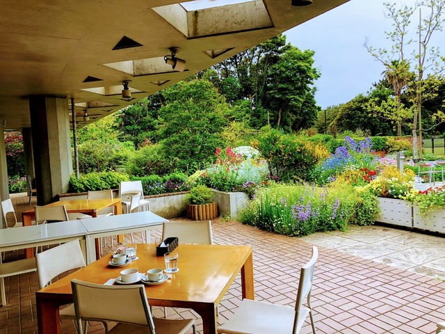 最も人気のある 花の美術館 レストラン 最も人気のある 花の美術館 レストラン
