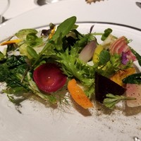 レフェルヴェソンス - 