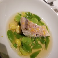 レフェルヴェソンス - 