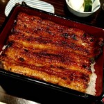 うなぎ 魚政 - 特上無加温うなぎ