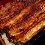 うなぎ 魚政 - 特上無加温うなぎ