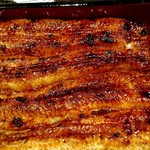 うなぎ 魚政 - 特上無加温うなぎ