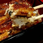 うなぎ 魚政 - 特上無加温うなぎ