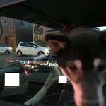 ピッザピッザピッザ - 