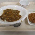 北見工業大学生活協同組合食堂 - カレーライス中厚切りハムカツ