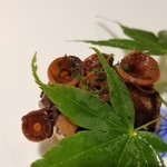 馳走 啐啄一十  - (07)真蛸(香川県坂出沖産)の軟らか煮
      産卵期は初夏～初秋、寿命1年、晩秋～冬は旨みが強くなります。
      柔らかくもほんの少し噛み応えを残した仕上がり。
      噛めば噛むほど蛸の美味しさが拡がります。