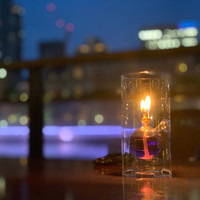 スミレオオサカ - 