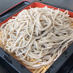 道の駅 いながわ そばの館 - 大盛りにして￥２１０プラス