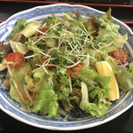 道の駅 いながわ そばの館 - サラダそば：￥８５０