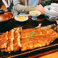 鰻う おか冨士 - 