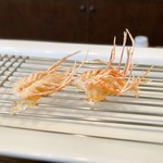 旬彩 天ぷら 心来(しんら） - 車海老のくも足