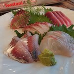 うみの星 - 料理写真:お刺身