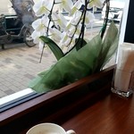 ドトールコーヒーショップ - 胡蝶蘭の見える席で