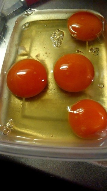 白鳥ファーム - 東白石（その他）の写真