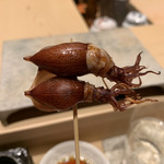 鮨 由う - 富山産 蛍烏賊スチームボイルの串焼き 