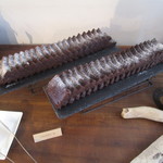 ネスト バイ ザ シー - 