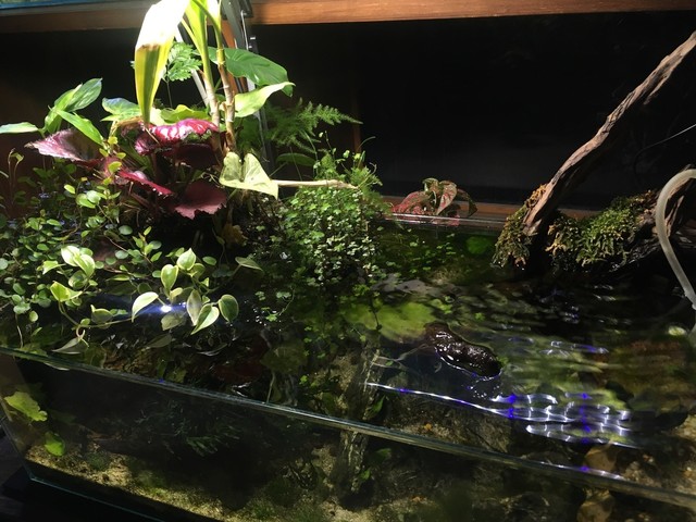 バー タブラ（bar tabula） &ndash; 岩手・一ノ関の大人向け隠れ家バー