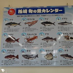 柏崎魚市場 水産物地産地消会館 市場食堂 - 