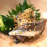 ざんぐり綾富 - 酢の物